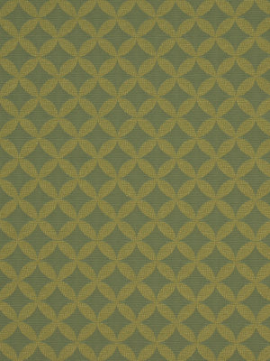 PIN WHEEL | ALOE