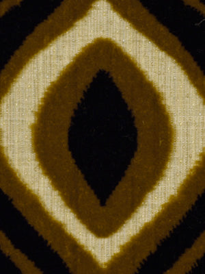 Cass | Blacklabel