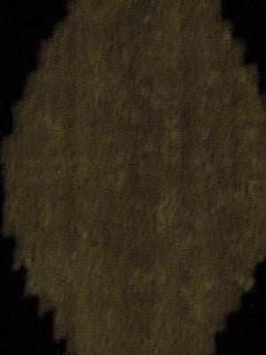 Cass | Licorice - Upholstery - Fabric