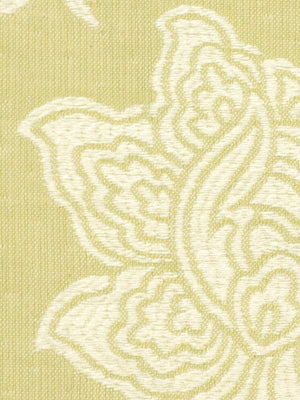 Rathcormac | Aloe