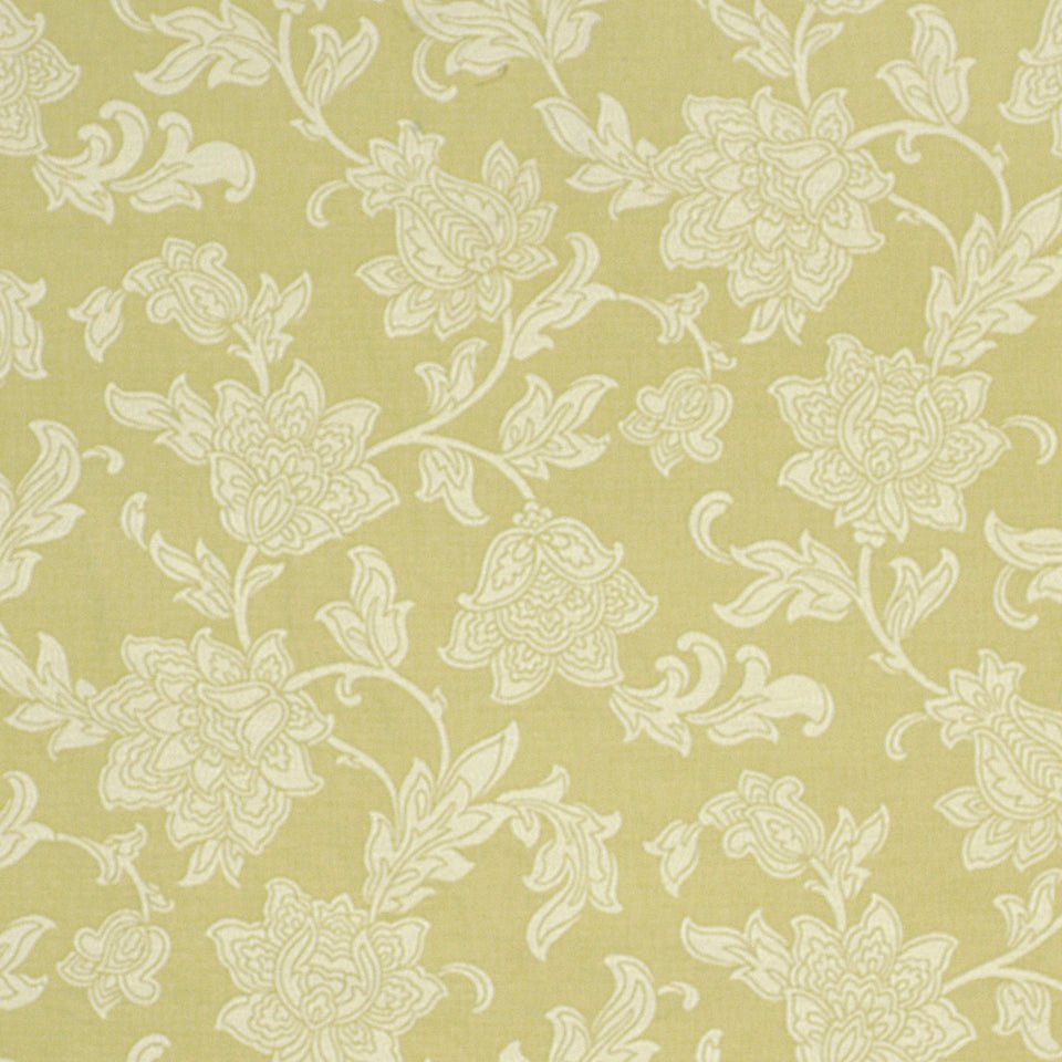 Rathcormac | Aloe - Multi-purpose