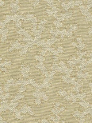 LIL ASHLEY | SAND DOLLAR - Upholstery - Fabric