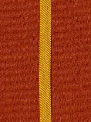 Aquavite | Carnelian - Multi-purpose