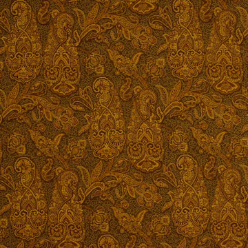 Holograph | Cashew - Upholstery - Fabric