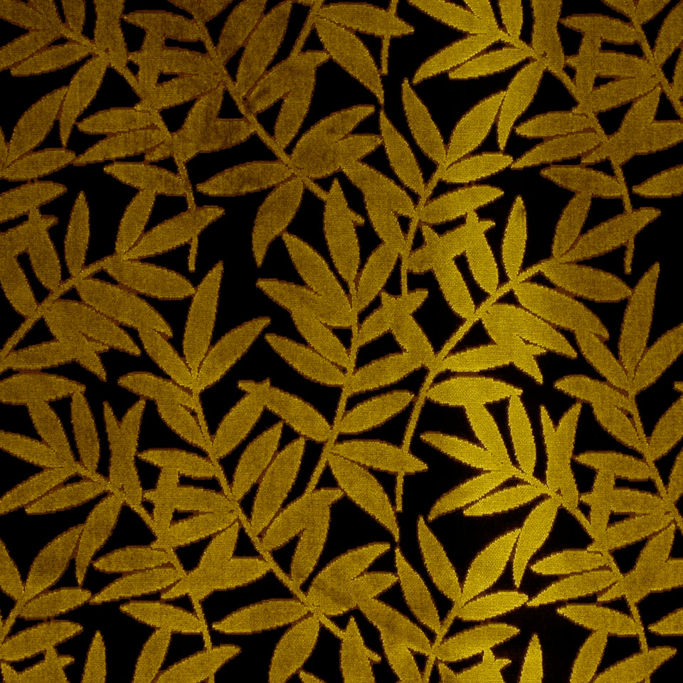Moroso | Lemongrass