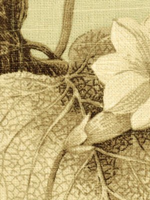 ENKENBALL | CELADON - Multi-purpose
