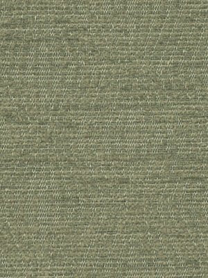 COURANTE | BERMUDA - Multi-purpose