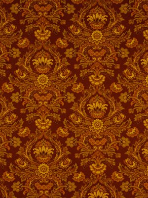 SHONDRA | CHILI - Multi-purpose