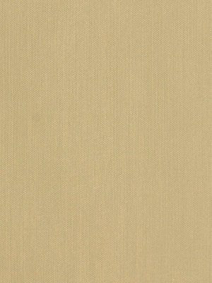 TINTED BATISTE | MUSLIN - Drapery - Fabric