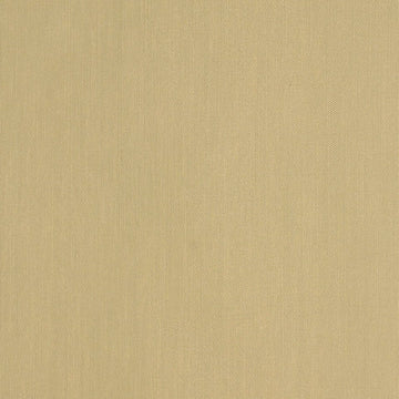 TINTED BATISTE | MUSLIN - Drapery - Fabric