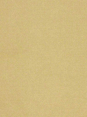 BELLE AMI | CHAMPAGNE