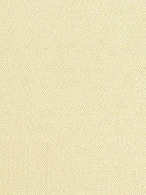 SATIN PLAIN | IVORY - Drapery - Fabric