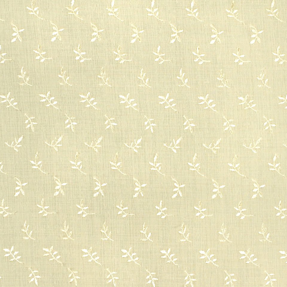 FLAWLESS | IVORY - Drapery - Fabric