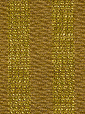 DOGGA STRIPE | THICKET