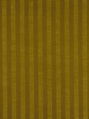 DOGGA STRIPE | THICKET