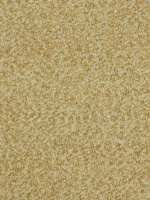 LOFT | CREAM