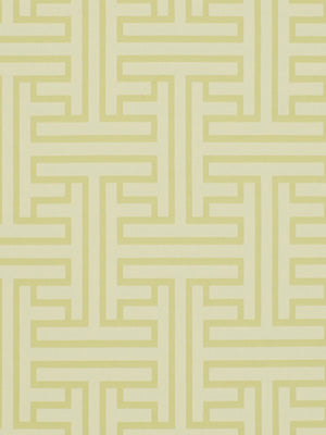 MING FRET | CITRON