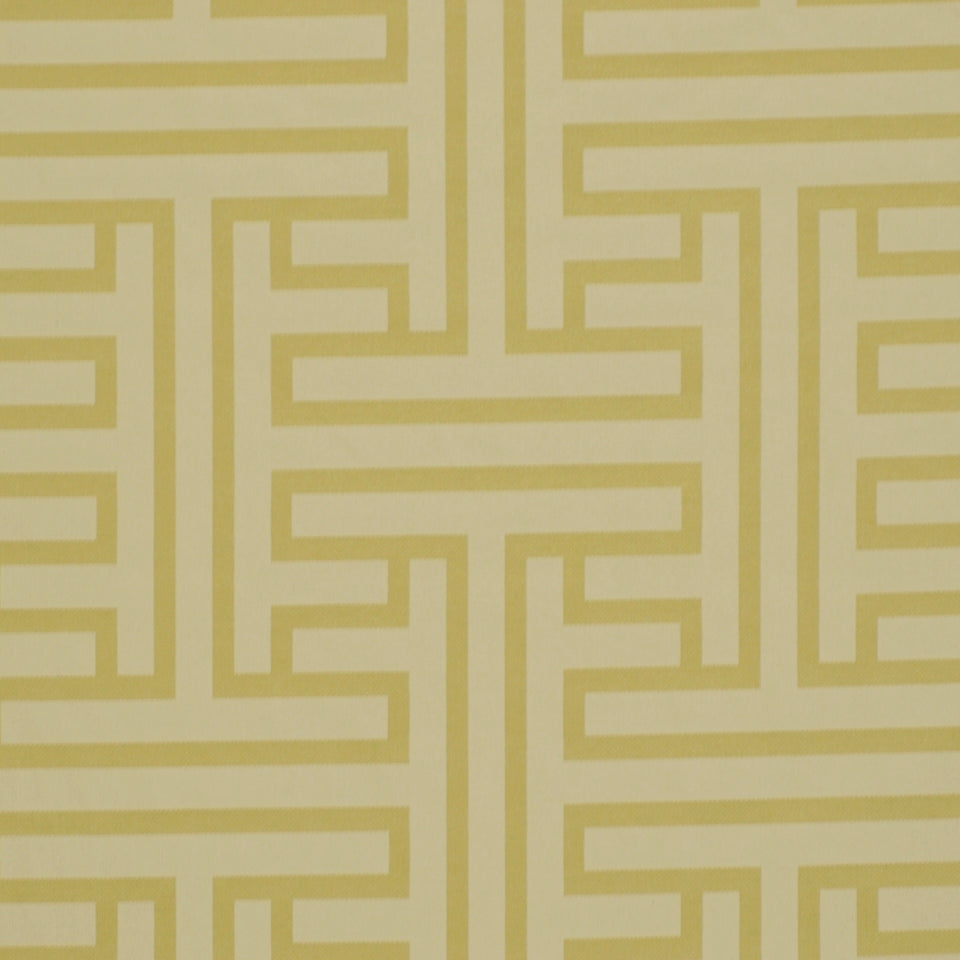 MING FRET | CITRON