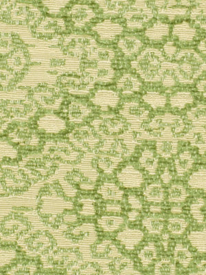 MARGARITAVILLE | LEAF