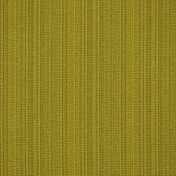 RUN ALONG | KIWI