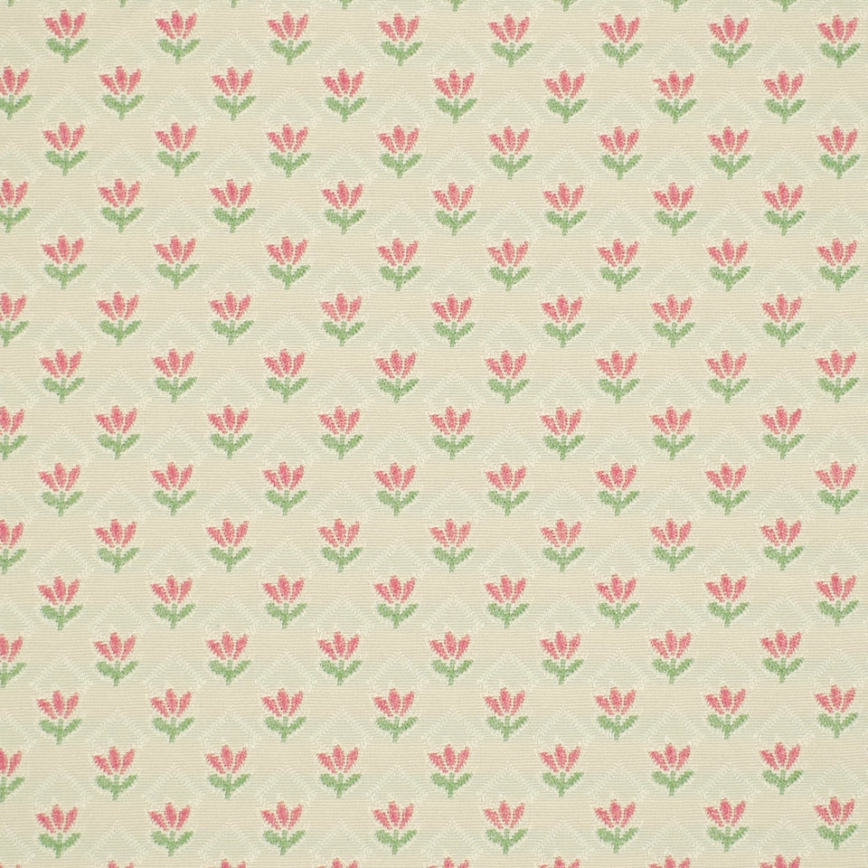 TINY TULIP | LEAF