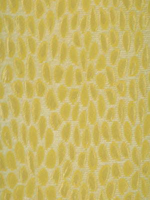 MOSAIC PETAL | MAIZE