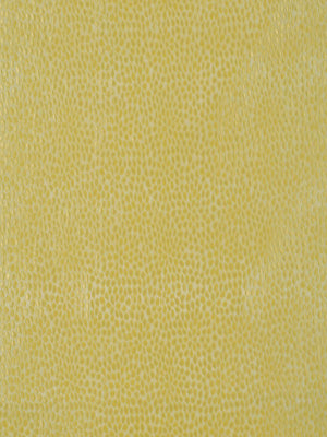 MOSAIC PETAL | MAIZE