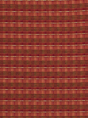 SHINY THREADS | TULIP