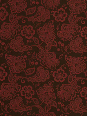 LACY BLOOMS | TULIP