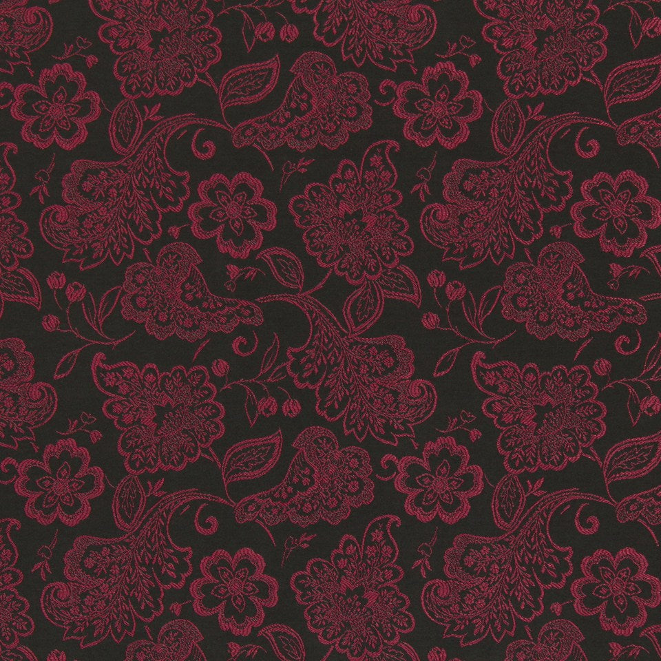 LACY BLOOMS | TULIP