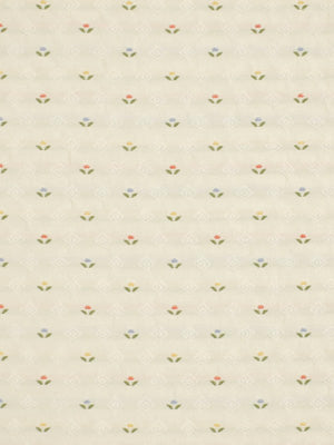 FLOWER LAND | TULIP