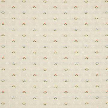 FLOWER LAND | TULIP