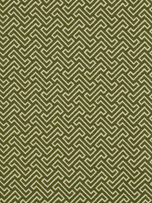 CORNFIELD MAZE | LEAF
