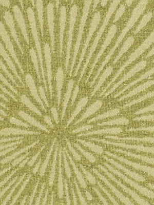 Fire Sparks | Tarragon
