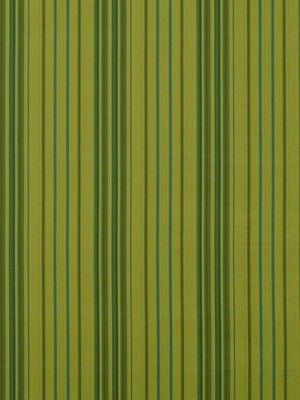 ALLIE STRIPE | TARRAGON - Multi-purpose