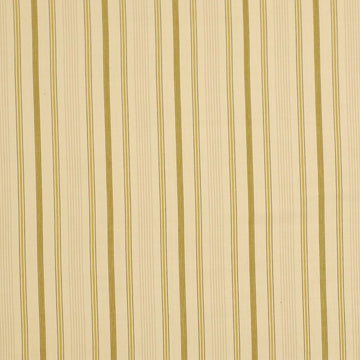 MARTOCK STRIPE | LEEK - Multi-purpose
