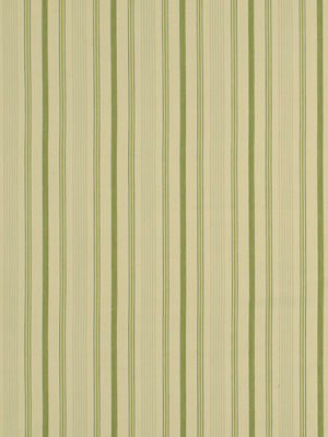 MARTOCK STRIPE | LEEK - Multi-purpose