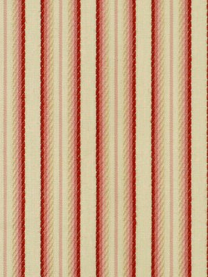 PIPING STRIPE | TULIP - Multi-purpose