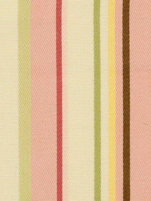 STRIPE ALONG | TULIP