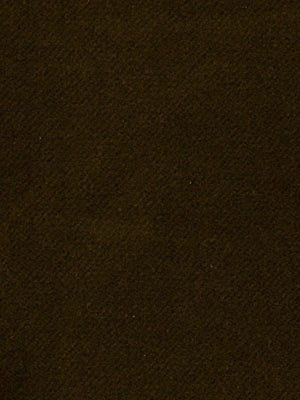 MODEST PLUSH | TERRAIN - Multi-purpose