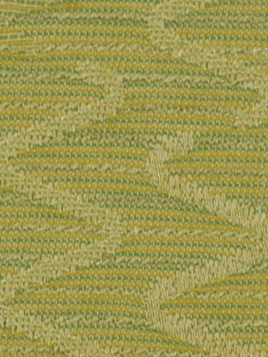 SQUIGGLE LINES | BAMBOO