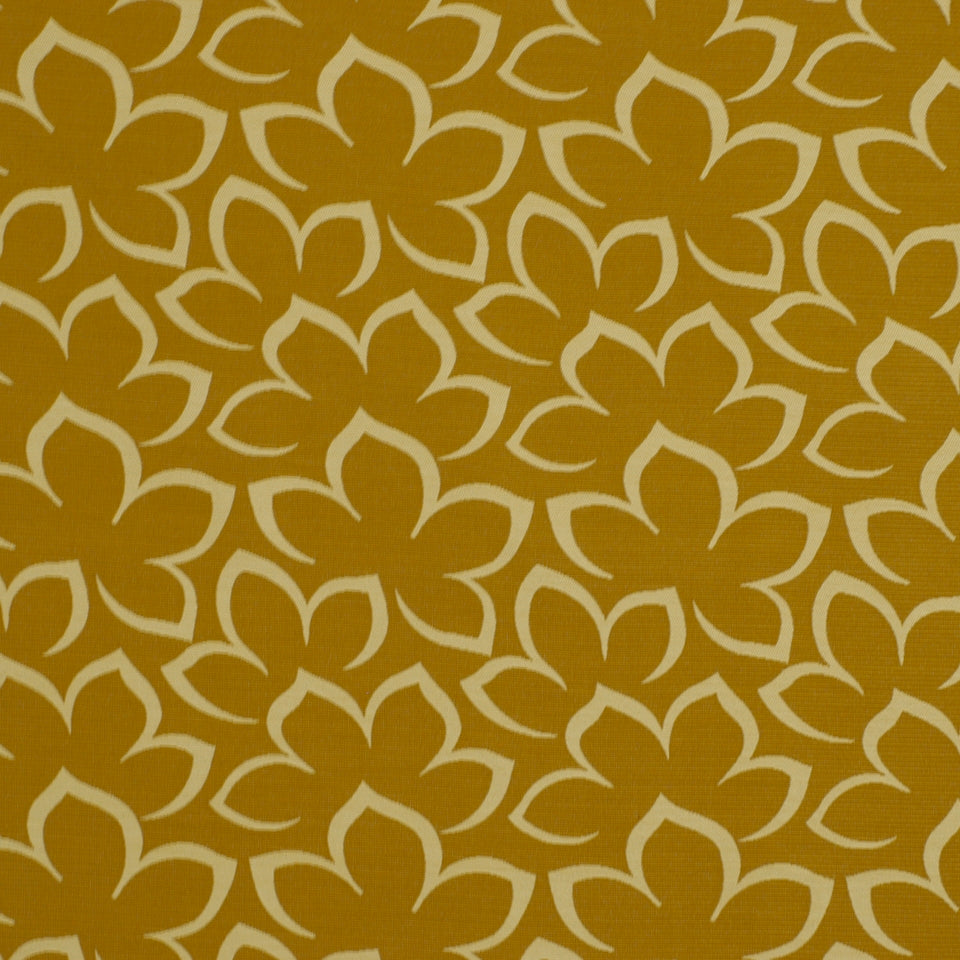 MATISSE FLORAL | CASHEW