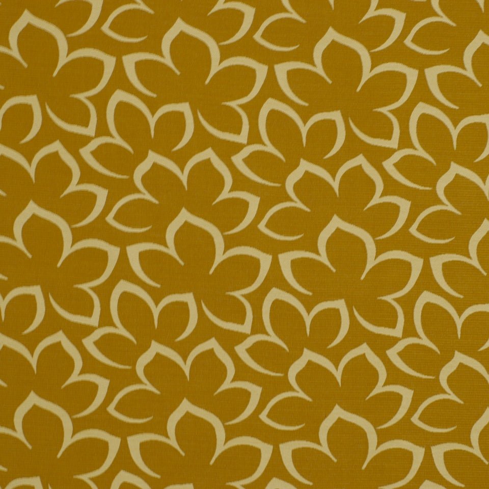 MATISSE FLORAL | CASHEW - Upholstery - Fabric