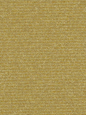 ECO NOD | DUNE