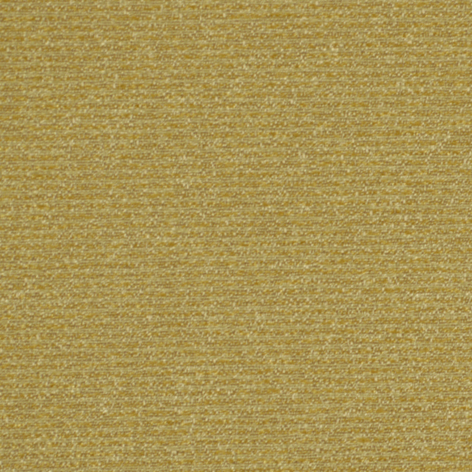 ECO NOD | DUNE