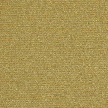 ECO NOD | DUNE