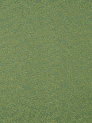 ECO ARIA | VAPOR
