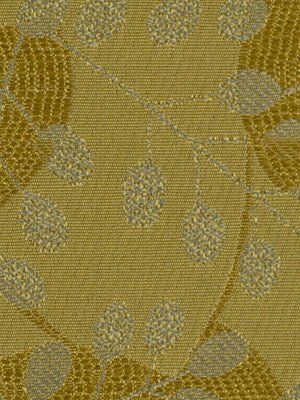 SALVE REGINA | WHEAT