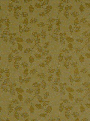 SALVE REGINA | WHEAT