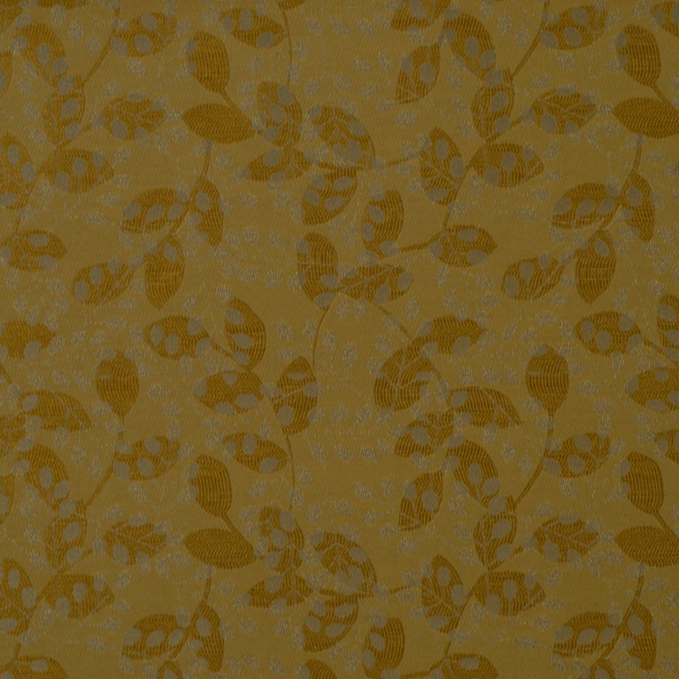 SALVE REGINA | WHEAT